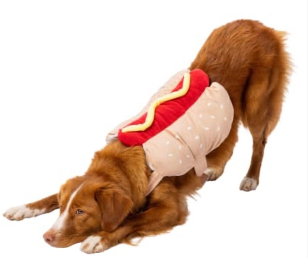 Hotdog food Halloween Pet Costume dog